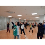 ファイターズガール